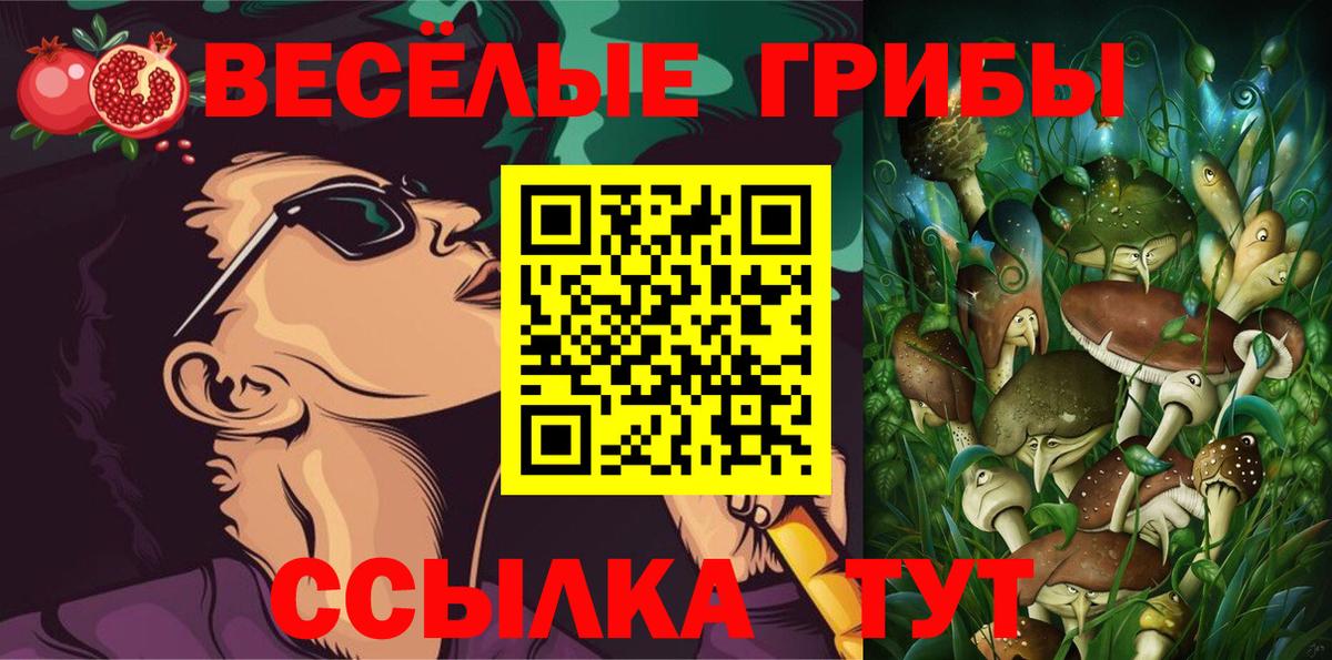Псилоцибиновые грибы мухоморы  Вход с VPN  Владикавказ 