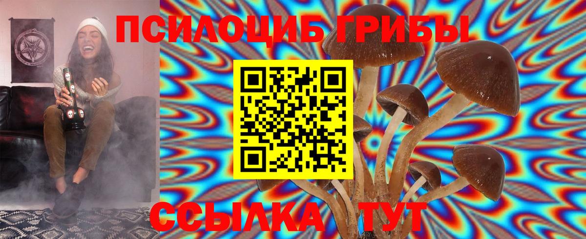 Псилоцибиновые грибы ЛСД Владикавказ